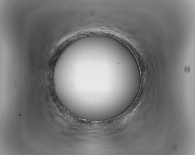 X0000092261494200709141015