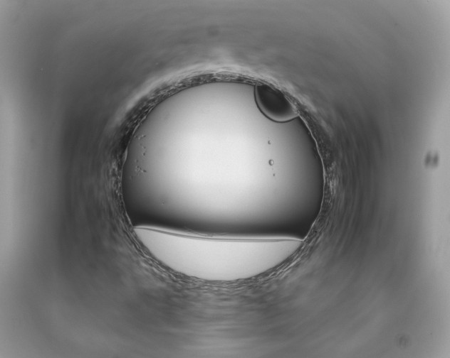 X0000092261495200709141015