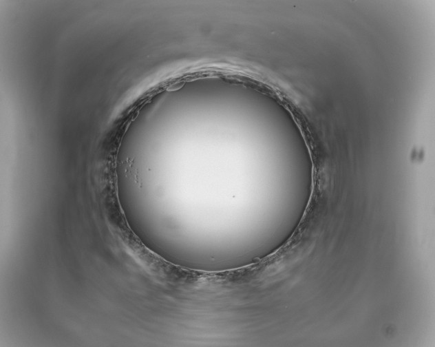 X0000092261496200709141015