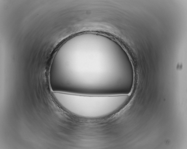 X0000092261497200709141015