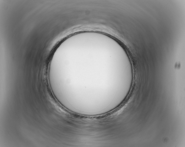 X0000092261498200709141015