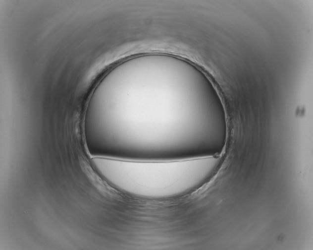 X0000092261499200709141015