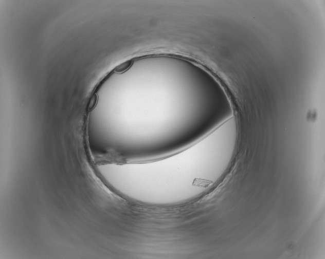 X0000092261500200709141015