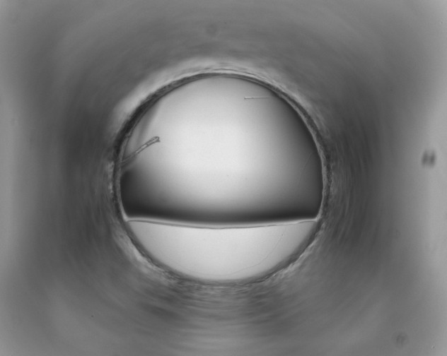 X0000092261503200709141015