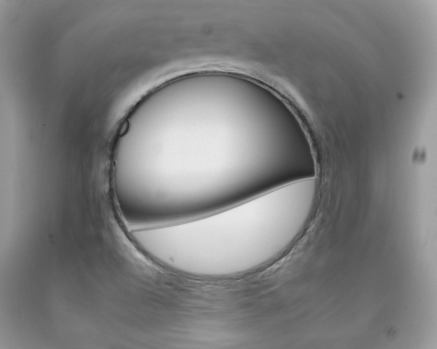 X0000092261504200709141015