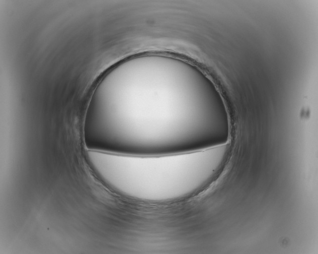 X0000092261505200709141015
