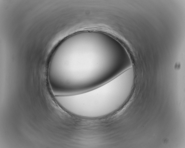 X0000092261506200709141015