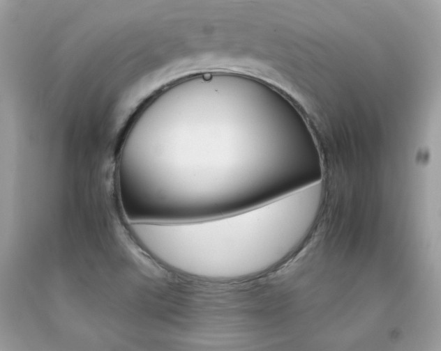 X0000092261507200709141015