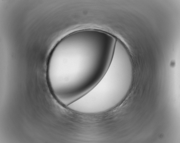X0000092261508200709141015
