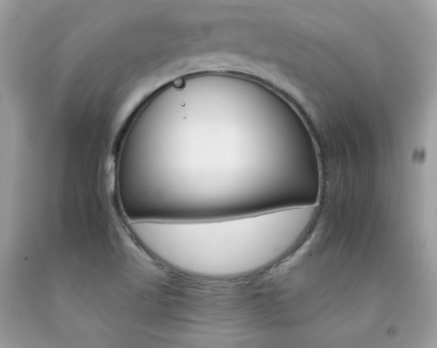 X0000092261509200709141015