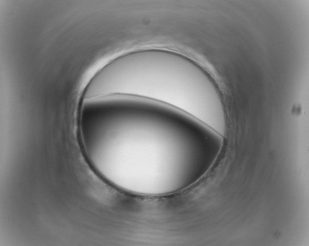 X0000092261512200709141015