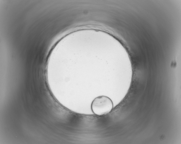 X0000092261514200709141015