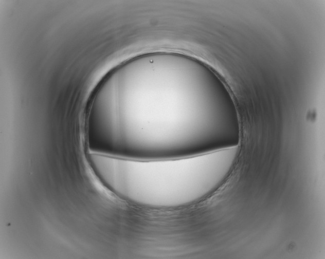 X0000092261515200709141015