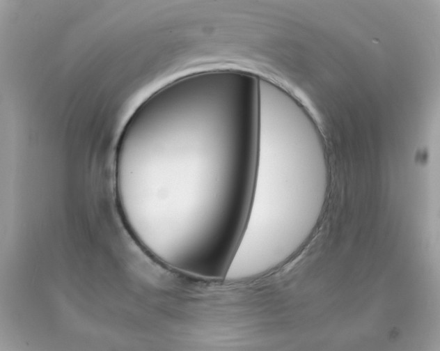 X0000092261516200709141015