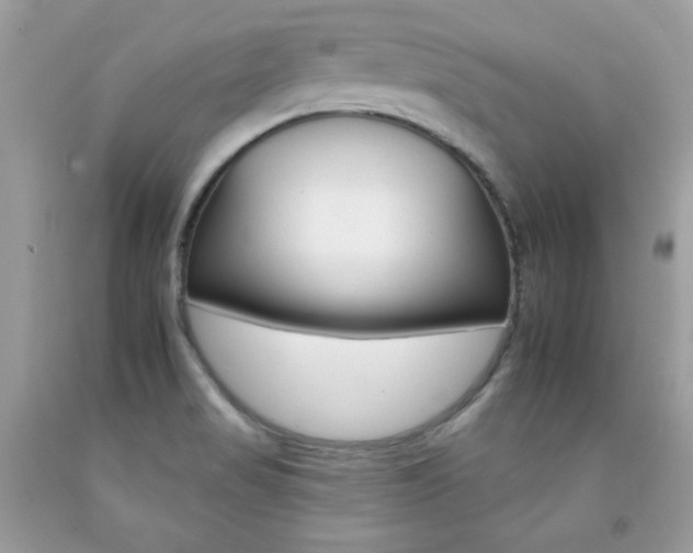 X0000092261517200709141015