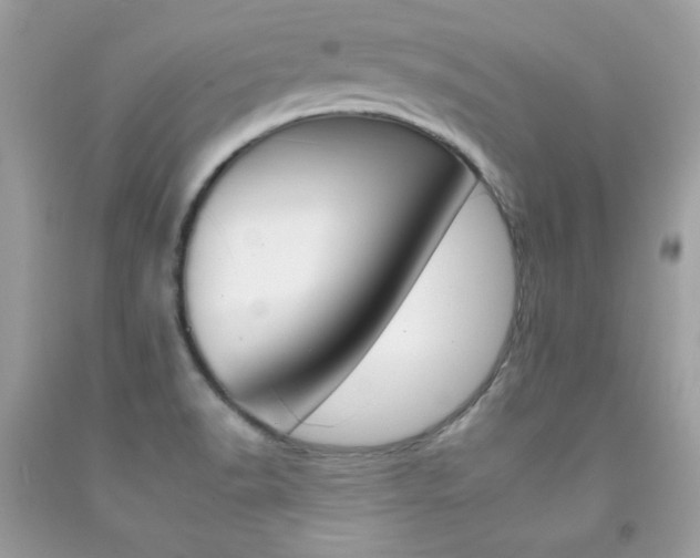 X0000092261518200709141015