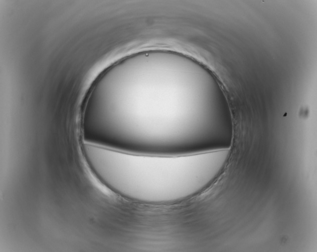 X0000092261519200709141015