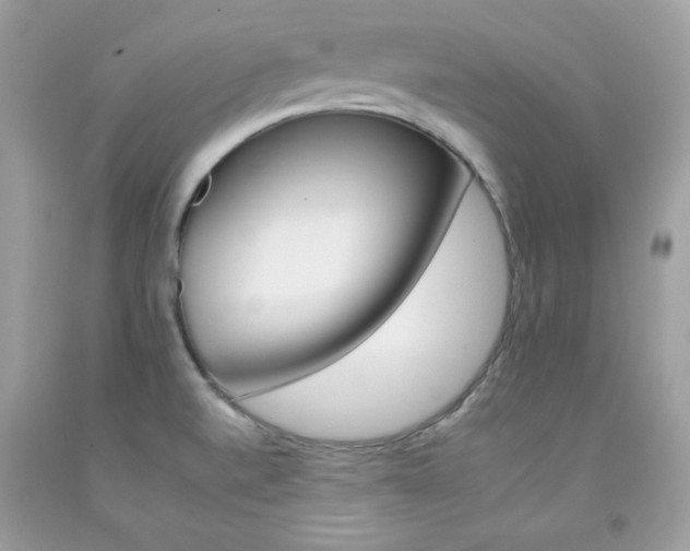 X0000092261520200709141015