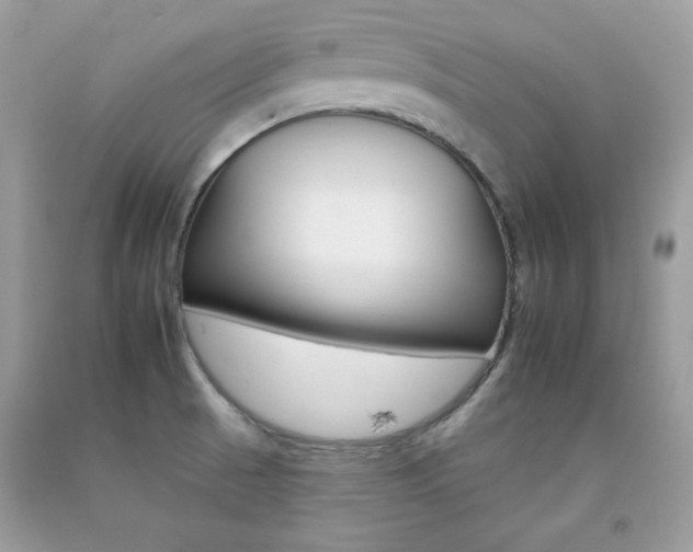 X0000092261521200709141015