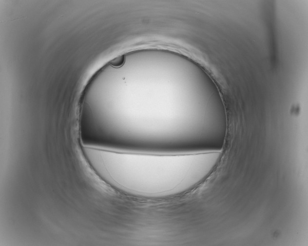 X0000092261522200709141015