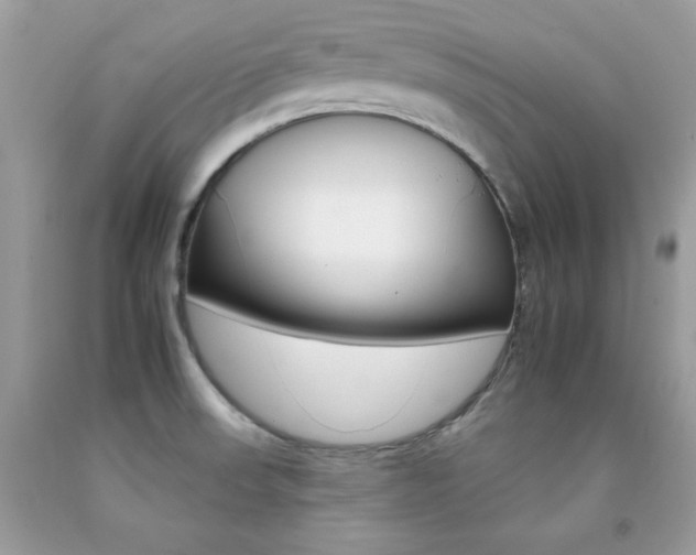 X0000092261523200709141015