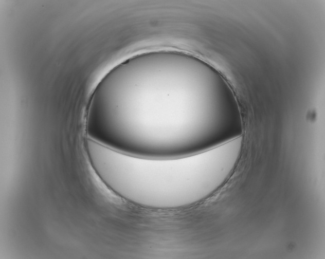 X0000092261524200709141015