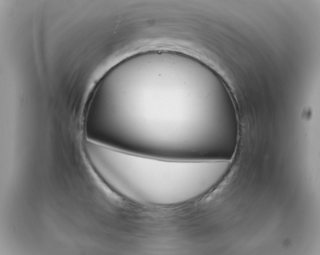 X0000092261525200709141015