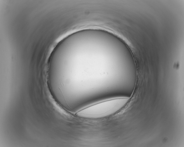 X0000092261526200709141015