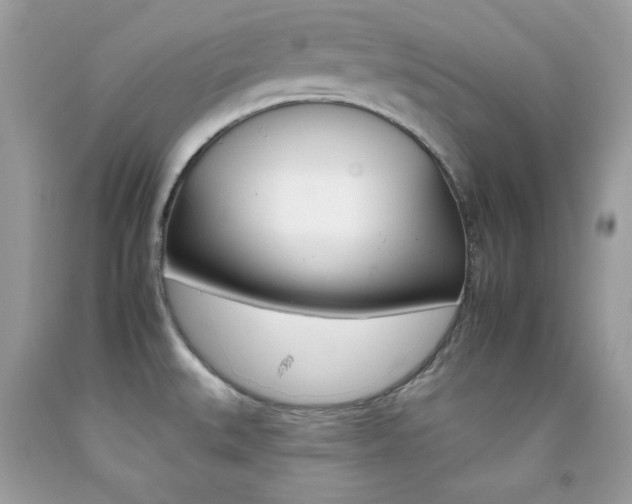 X0000092261527200709141015
