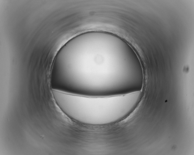 X0000092261529200709141015