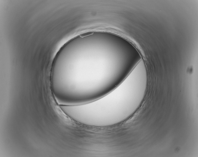 X0000092261530200709141015
