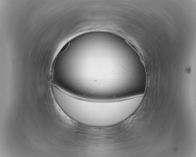 X0000092261532200709141015