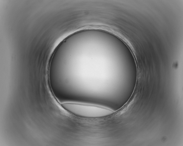X0000092261533200709141015