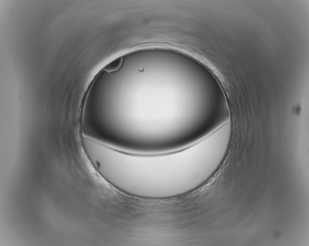 X0000092261534200709141015