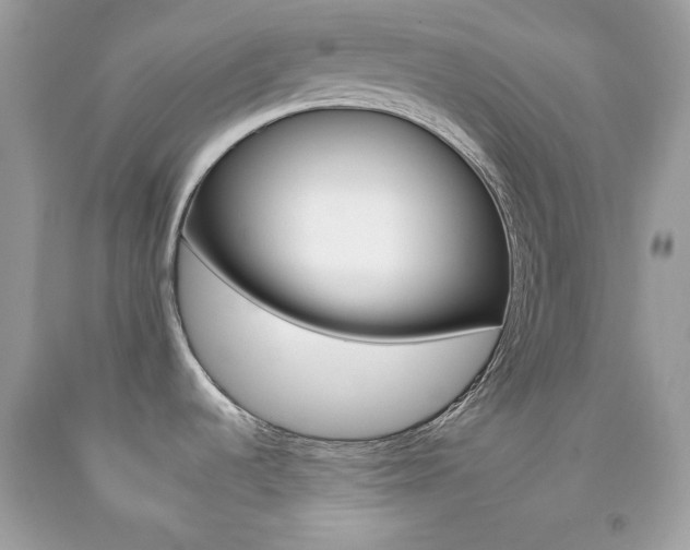 X0000092261536200709141015