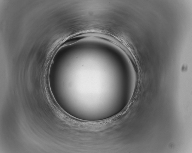 X0000092260001200709141218