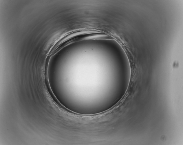 X0000092260002200709141218