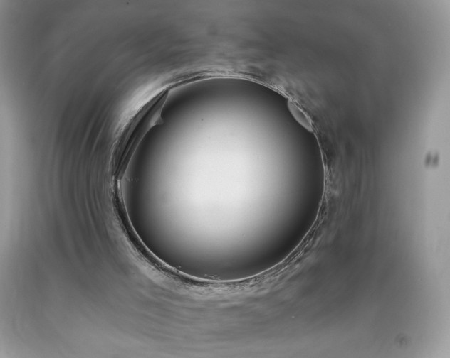 X0000092260005200709141218