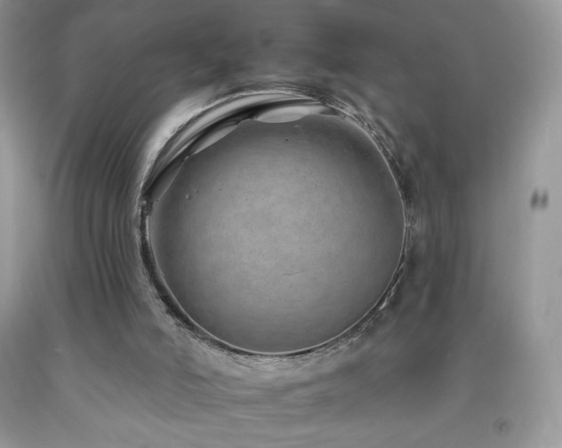 X0000092260006200709141218