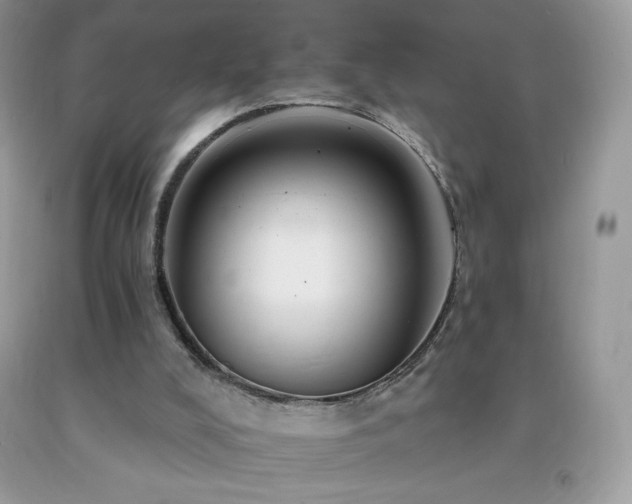 X0000092260008200709141218
