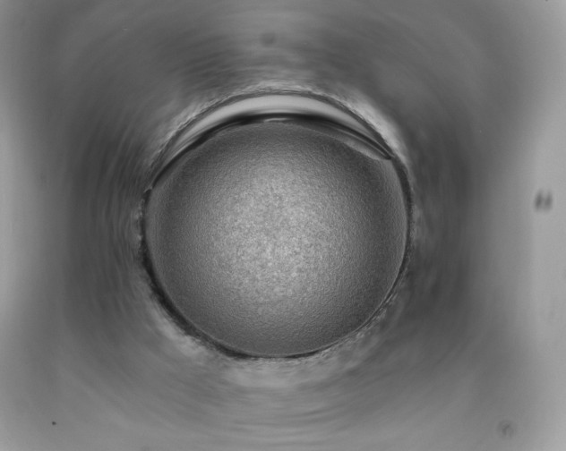 X0000092260009200709141218