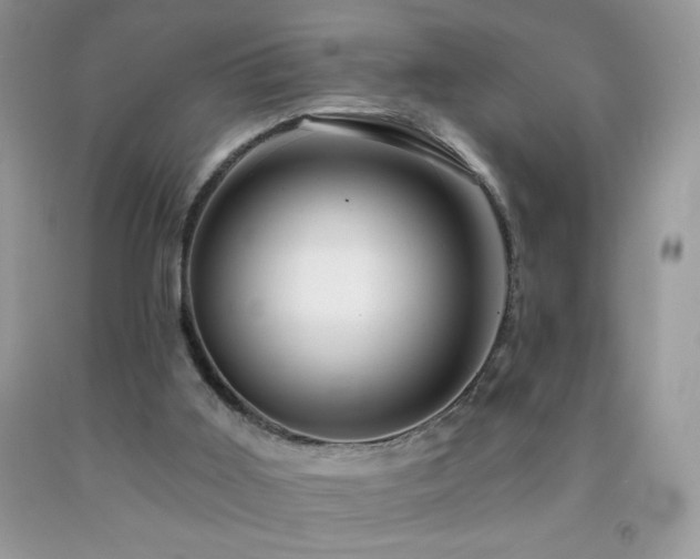 X0000092260011200709141218