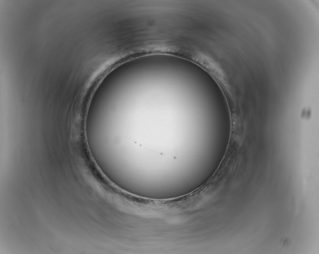 X0000092260012200709141218