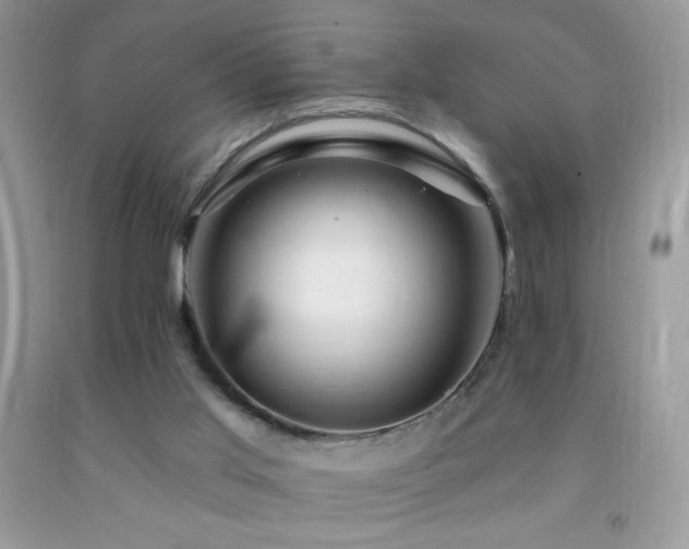 X0000092260013200709141218