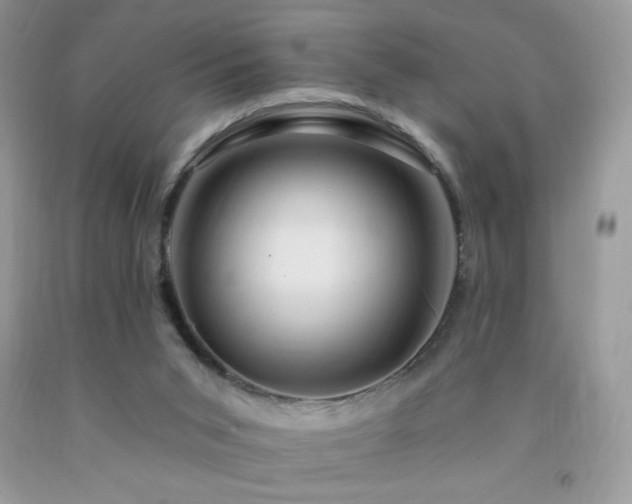 X0000092260015200709141218