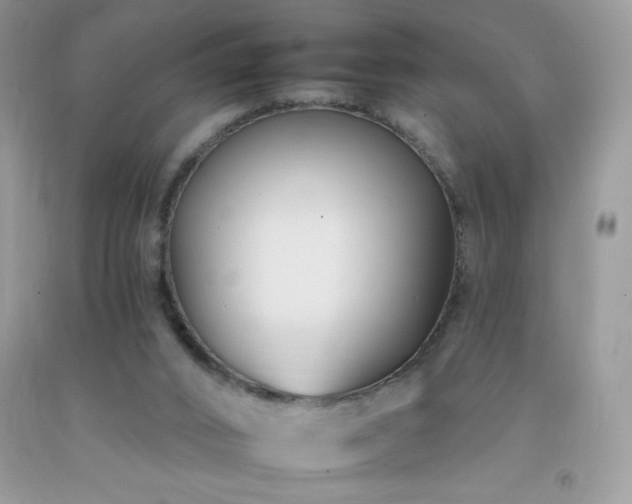 X0000092260016200709141218