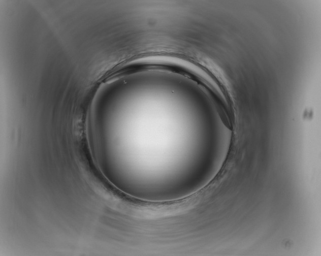 X0000092260017200709141218