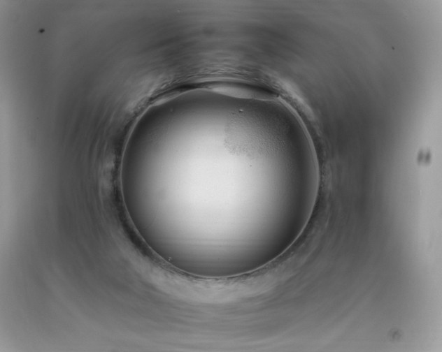 X0000092260018200709141218