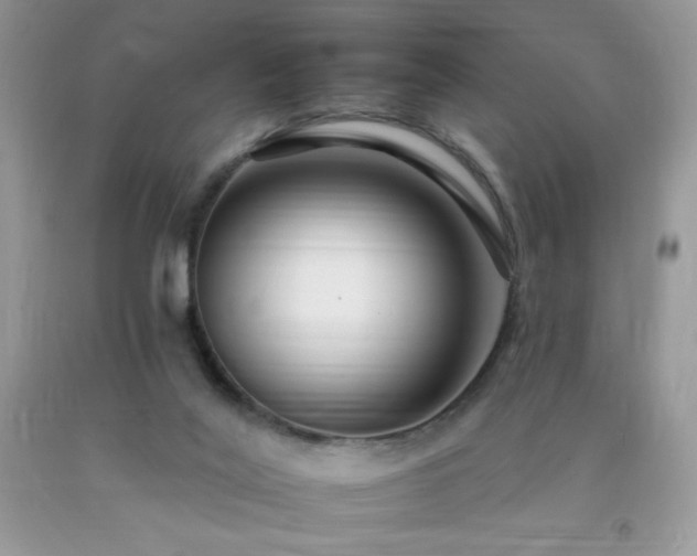 X0000092260020200709141218