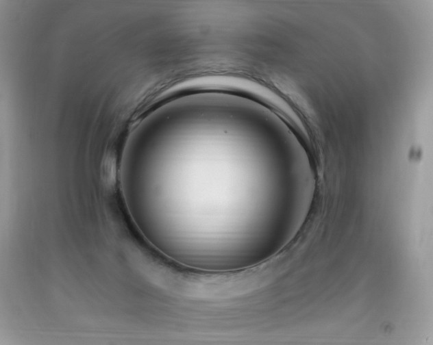 X0000092260021200709141218